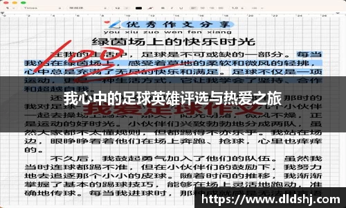 我心中的足球英雄评选与热爱之旅